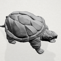 Giant tortoise - Thumbnail 10