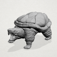 Giant tortoise - Thumbnail 11