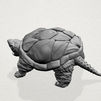 Giant tortoise - Thumbnail 12