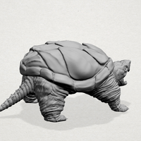 Giant tortoise - Thumbnail 13