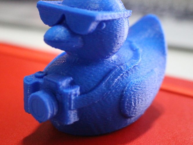 3D Printed Tourist Duck by 3DPrinterOS Pinshape