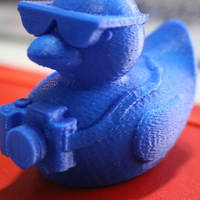 Tourist Duck - Thumbnail 3
