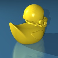 Touchdown Duck - Thumbnail 2