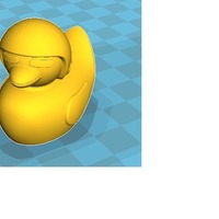 Skeptical Duck - Thumbnail 2