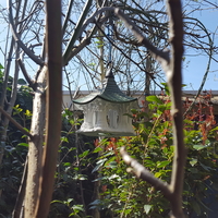 Bird Temple - Thumbnail 20