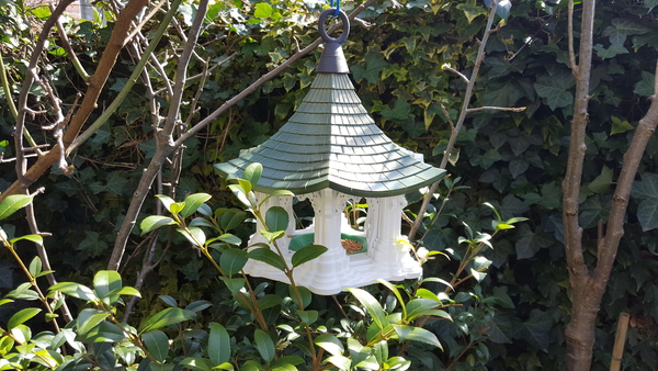 Bird Temple