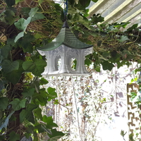 Bird Temple - Thumbnail 23