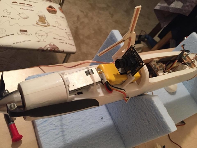 Seagull 2000 FPV mount and canopy 3D Print 198102