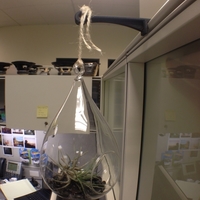 Terrarium Cubicle Hanger - Thumbnail 2