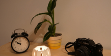 Image 198504