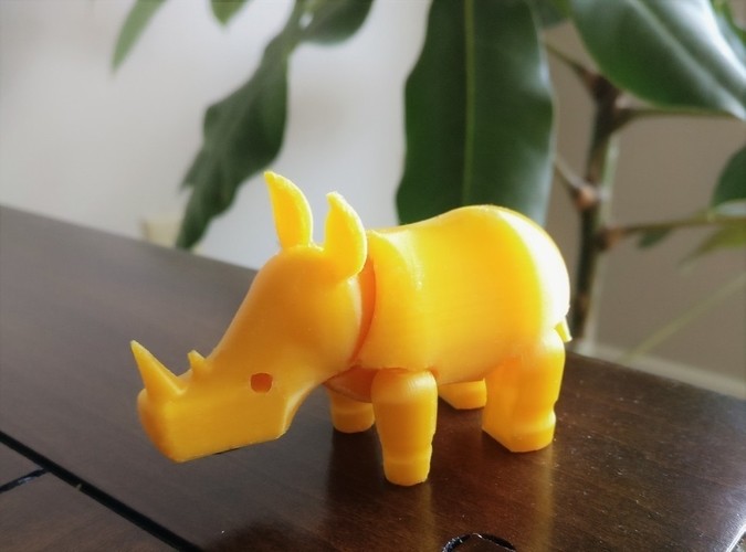 Rhino 3D Print 198605