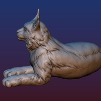 Lynx - Thumbnail 3