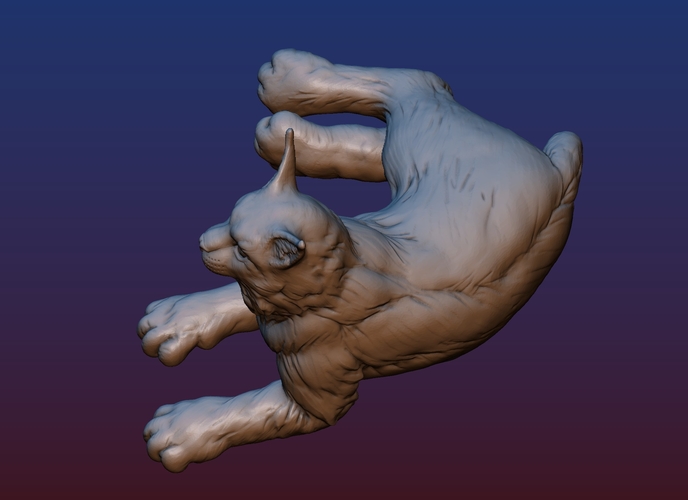 Lynx 3D Print 198956