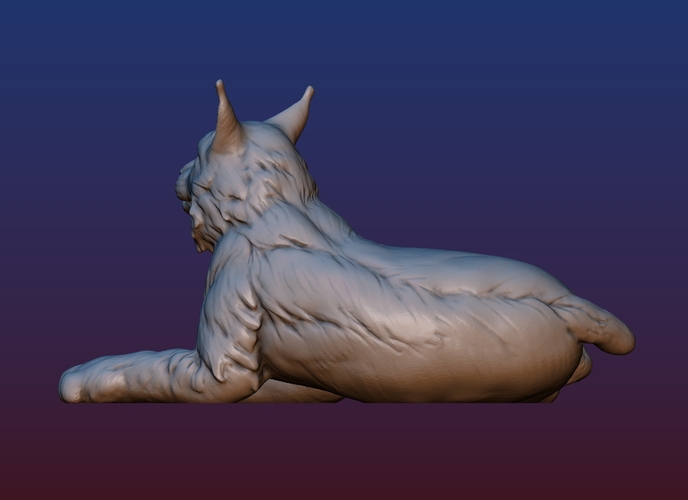 Lynx 3D Print 198960