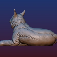 Lynx - Thumbnail 12