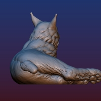 Lynx - Thumbnail 13