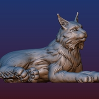 Lynx - Thumbnail 14