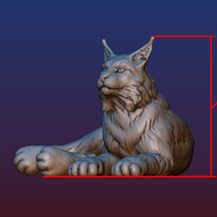 Lynx - Thumbnail 17