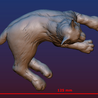Lynx - Thumbnail 18
