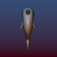 Little dolphin - Thumbnail 11