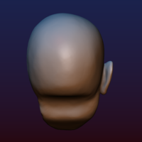 Half Face Skull - Thumbnail 6