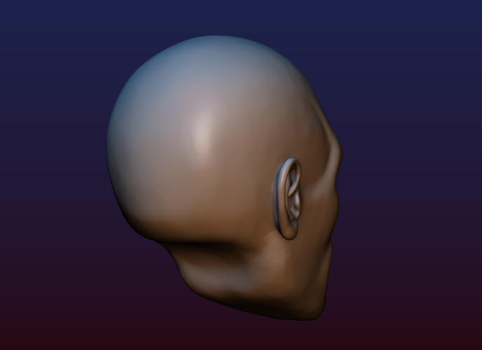 Half Face Skull 3D Print 198989