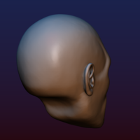 Half Face Skull - Thumbnail 7