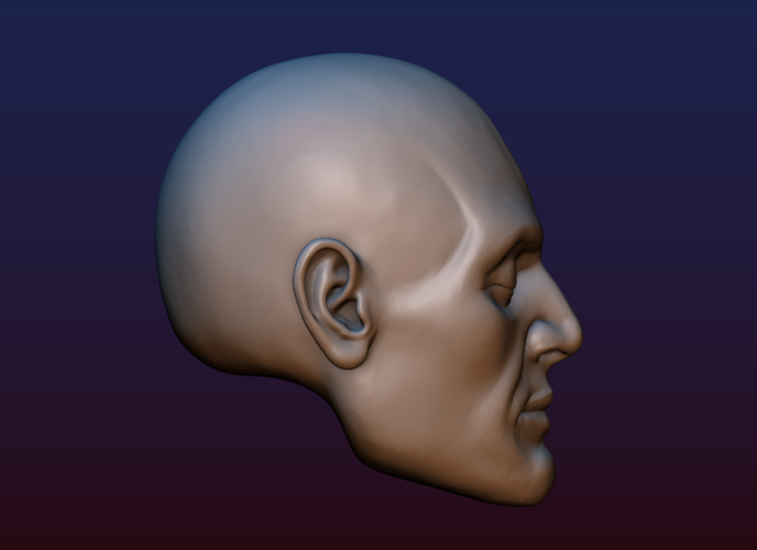 Half Face Skull 3D Print 198990