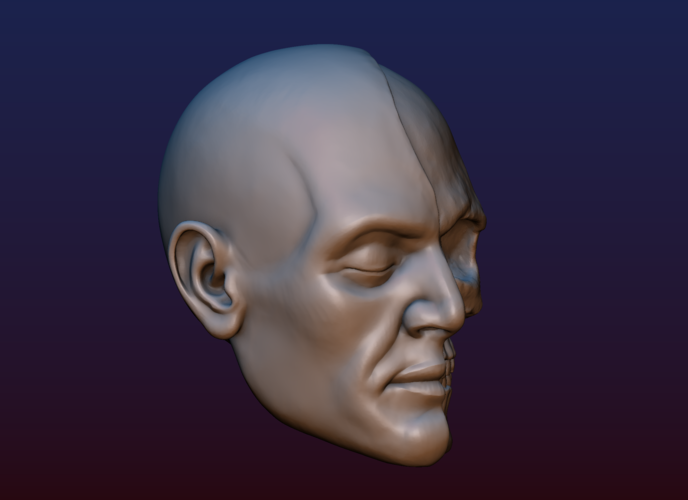Half Face Skull 3D Print 198991