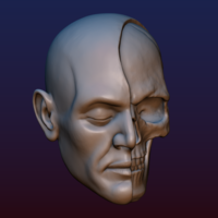 Half Face Skull - Thumbnail 10