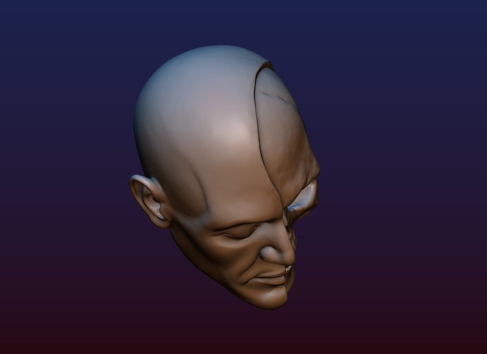 Half Face Skull 3D Print 198993