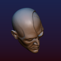 Half Face Skull - Thumbnail 11