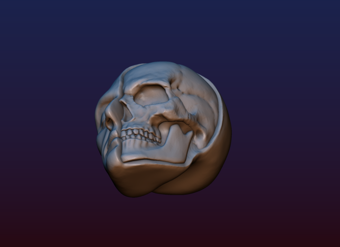 Half Face Skull 3D Print 198995