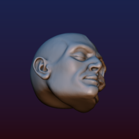 Half Face Skull - Thumbnail 14