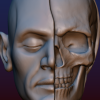 Half Face Skull - Thumbnail 15