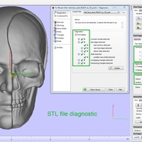 Half Face Skull - Thumbnail 18