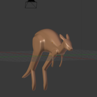 Kangaroo - Thumbnail 2