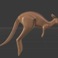 Kangaroo - Thumbnail 6