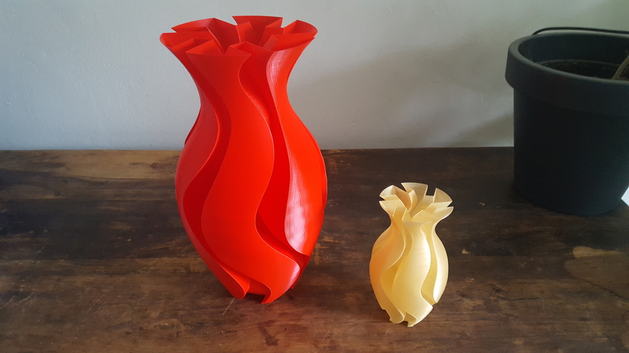 Experimental Vase 3D Print 199143