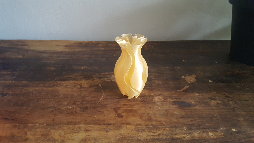 Experimental Vase 3D Print 199144
