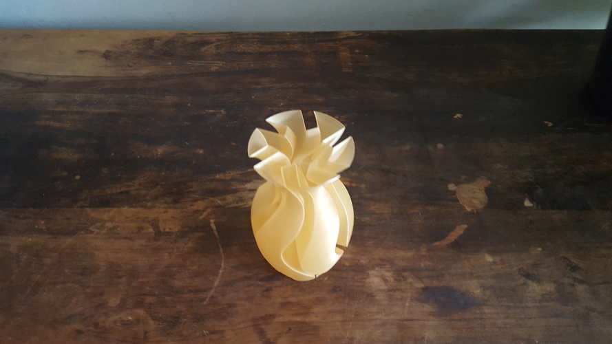 Experimental Vase 3D Print 199146