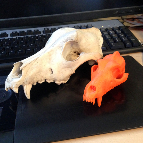 Boneheads S1: Wolf Skull w/ Jaw - 3DKitbash.com 3D Print 19979