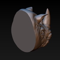 Rhino head - Thumbnail 4