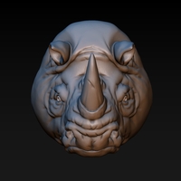 Rhino head - Thumbnail 6