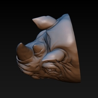 Rhino head - Thumbnail 7