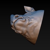 Rhino head - Thumbnail 8