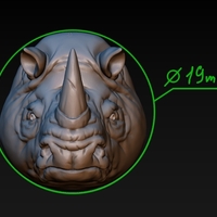 Rhino head - Thumbnail 9