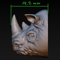 Rhino head - Thumbnail 10