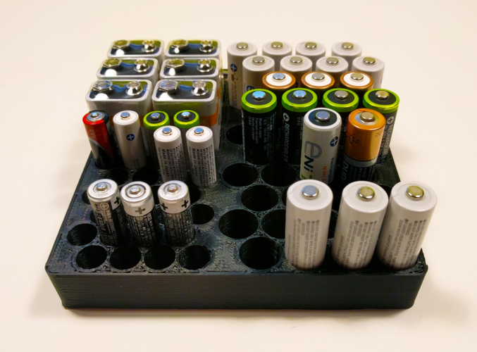 Battery Organizer 3D Print 200776