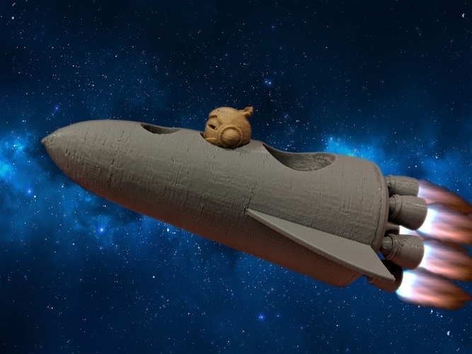 Marvin's Rocket 3D Print 201479